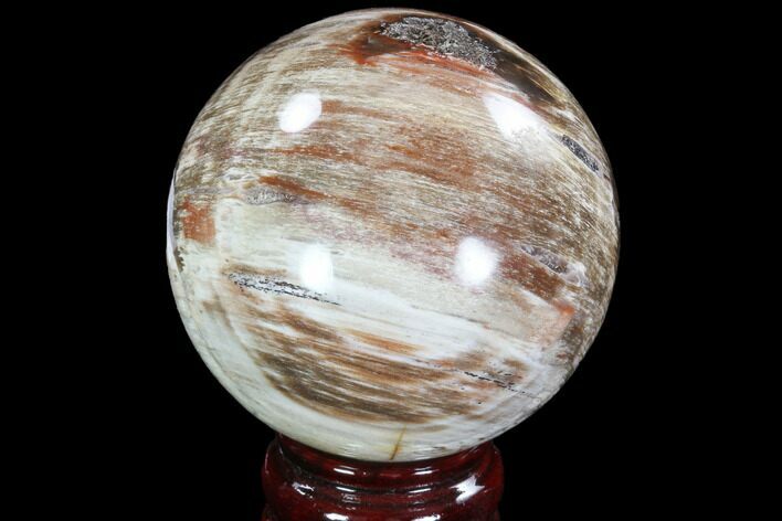 Colorful Petrified Wood Sphere - Madagascar #92394